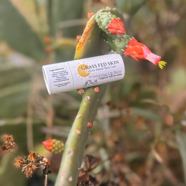 Nourishing Lip Balm - Image 2