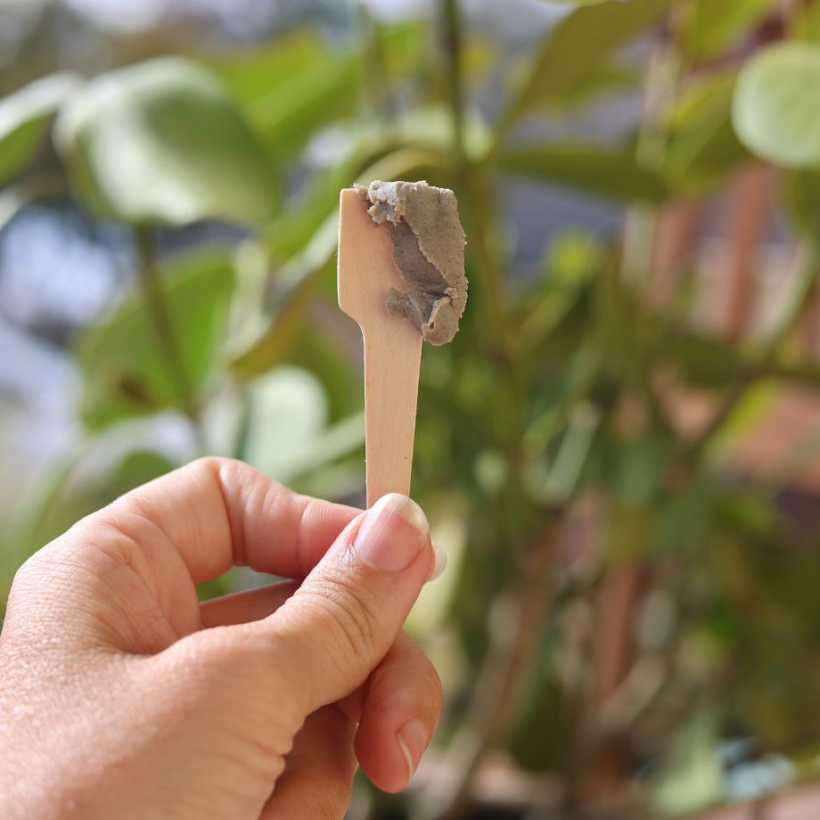 Purifying Mineral Mask - Image 2